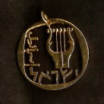 Israeli Lyre Cut Coin